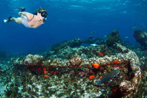 Abrolhos Islands 5 Day Tours - Australia Accommodation 3