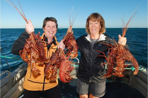 Abrolhos Islands 5 Day Tours - Australia Accommodation 0