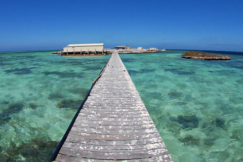 Abrolhos Islands 5 Day Tours - Australia Accommodation 4
