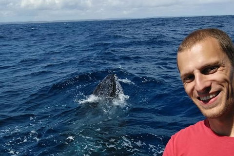Whale Watching Boat Tour In Geraldton - Australia Accommodation 2