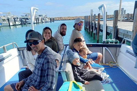 Whale Watching Boat Tour In Geraldton - Australia Accommodation 1