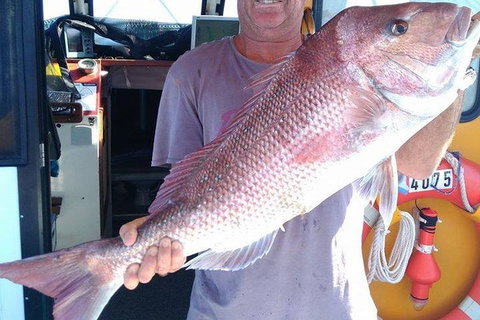 Geraldton Fishing Charter - Australia Accommodation 10