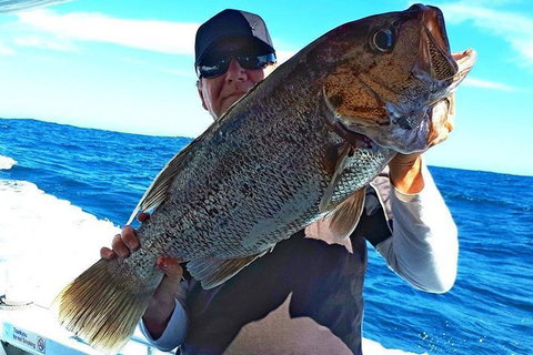 Geraldton Fishing Charter - Australia Accommodation 4