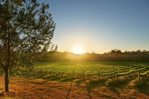 Private Barrel Hall Wine Tasting In The Margaret River Region - Australia Accommodation 3