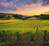 Swan Valley Sunset Wine Tour - Premium Small Group Tour - Australia Accommodation