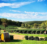 Bickley Valley Wine  Cider Tour - Premium Small Group Tour - Australia Accommodation