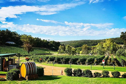 Bickley Valley Wine & Cider Tour - Premium Small Group Tour - Australia Accommodation 0