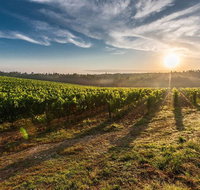Perth to Margaret River Wine Tour - 2 Day Premium Boutique Wine Tour Experience - Australia Accommodation