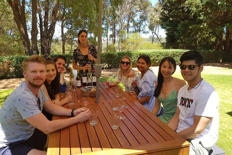 Full-Day Gourmet Wine Tour With Pick Up And Lunch - Australia Accommodation 5