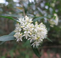 Booderee National Park - Australia Accommodation