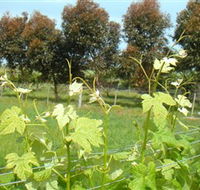 Barwon Ridge Wines - Australia Accommodation