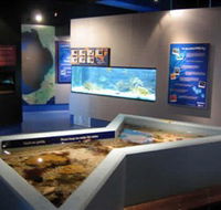 Marine and Freshwater Discovery Centre - Australia Accommodation