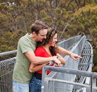 Valley of the Giants Tree Top Walk - Australia Accommodation