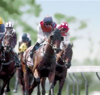 Colac Turf Club - Australia Accommodation