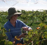 Kingsdale Wines - Australia Accommodation