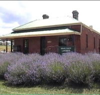 Lavender House in Railway Park - Australia Accommodation