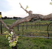 Nalbra Estate Wines - Australia Accommodation