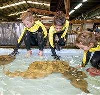 Australian Shark and Ray Centre - Australia Accommodation