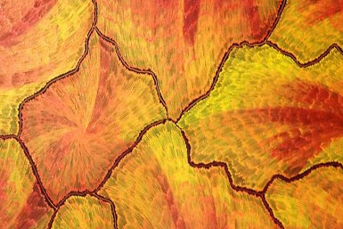 Red Desert Dreamings - Australia Accommodation 0
