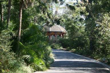 Royal Botanic Gardens Victoria - Australia Accommodation 0