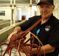 Lobster Shack - Australia Accommodation