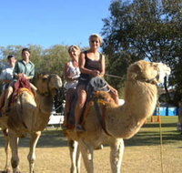 Calamunnda Camel Farm - Australia Accommodation