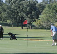 Spalding Park - Australia Accommodation