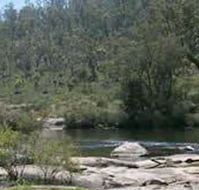 Wellington Discovery Forest - Australia Accommodation