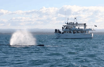 Huskisson NSW Australia Accommodation