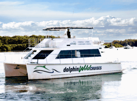 Dolphin Wild Cruises - Australia Accommodation 2