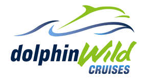 Dolphin Wild Cruises - Australia Accommodation 4