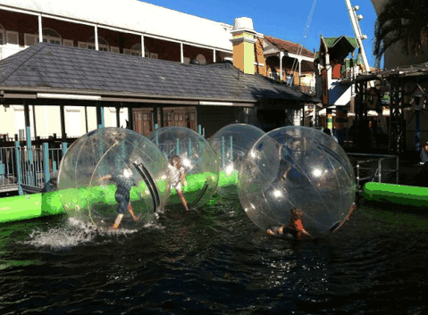 Aussie Waterballs - Australia Accommodation 0