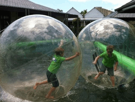Aussie Waterballs - Australia Accommodation 1