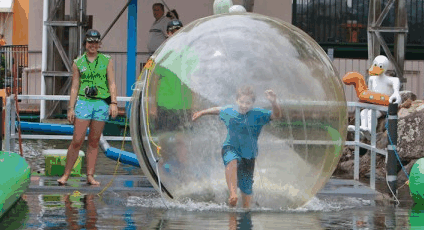 Aussie Waterballs - Australia Accommodation 4