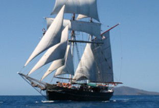 Australian Tallship Cruises - Australia Accommodation 0