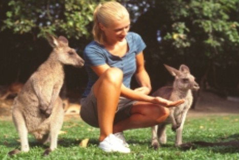 Jungle Tours And Trekking - Australia Accommodation 1