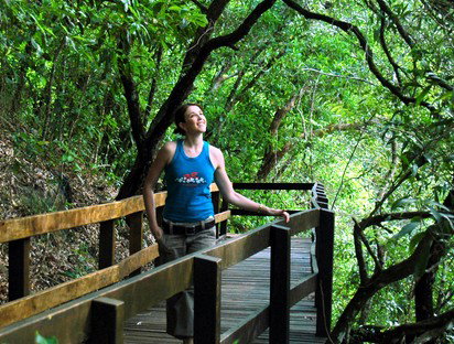 Jungle Tours And Trekking - Australia Accommodation 4