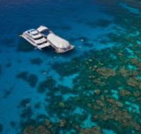 Great Adventures Reef and Green Island Cruises - Australia Accommodation
