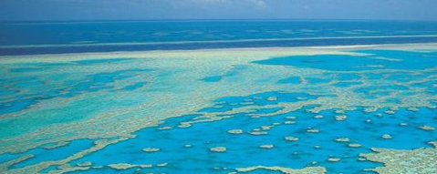 Aristocat Snorkel And Scuba Port Douglas - Australia Accommodation 3