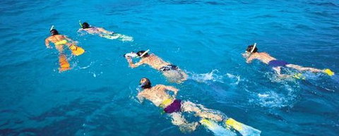 Aristocat Snorkel And Scuba Port Douglas - Australia Accommodation 4