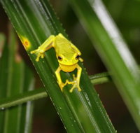 Daintree River Cruise Centre - Australia Accommodation