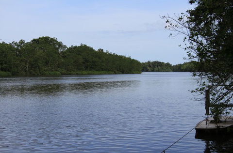 Daintree River Cruise Centre - Australia Accommodation 2