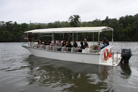 Daintree River Cruise Centre - Australia Accommodation 3