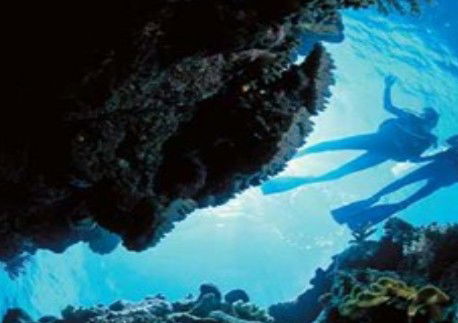Deep Sea Divers Den - Australia Accommodation 0