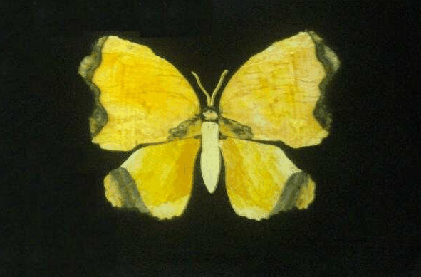 Book Home Hill QLD Attractions Australia Accommodation Australia Accommodation