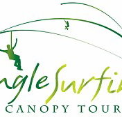Jungle Surfing Canopy Tours and Jungle Adventures Nightwalks - Australia Accommodation