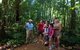 Ngadiku Dreamtime Walks - Mossman Gorge Centre - thumb 1