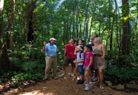 Ngadiku Dreamtime Walks - Mossman Gorge Centre - Australia Accommodation 1
