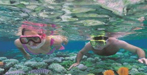 Quicksilver Cruises - Australia Accommodation 2