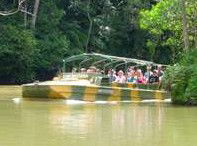 Rainforestation Nature Park - Australia Accommodation 4